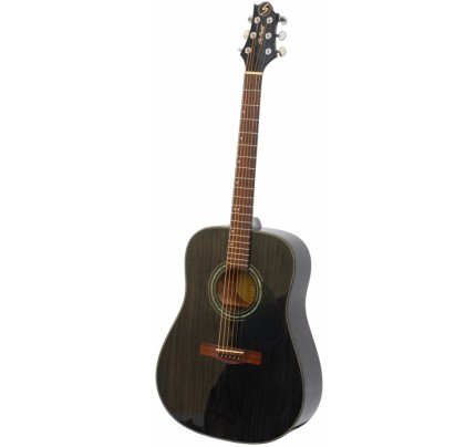 SAMICK D-4 TBK Greg Bennett Design Acoustic Guitar